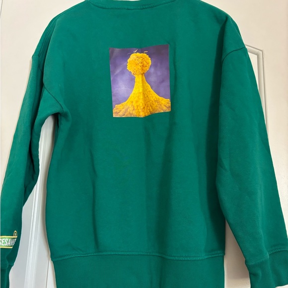 H&M Vintage Women’s Size XS Green Oversized Sweatshirt with Big Bird Graphic - Picture 2 of 4